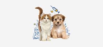 Očkování psů a koček              